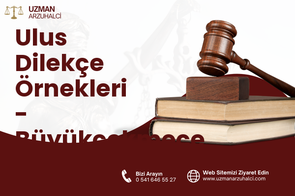 Ulus Dilekçe Örnekleri - Büyükçekmece