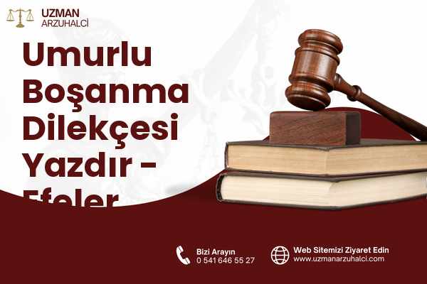 Umurlu Boşanma Dilekçesi Yazdır - Efeler