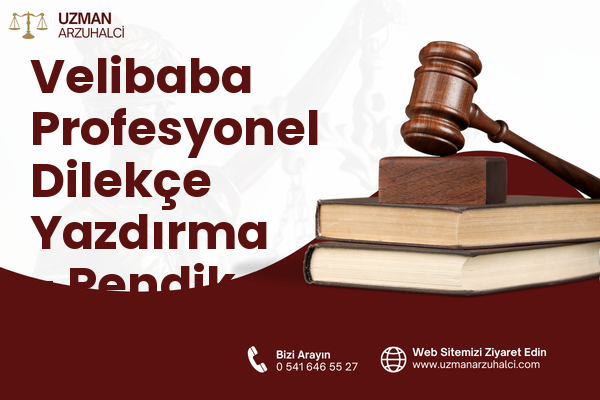 Velibaba Profesyonel Dilekçe Yazdırma - Pendik