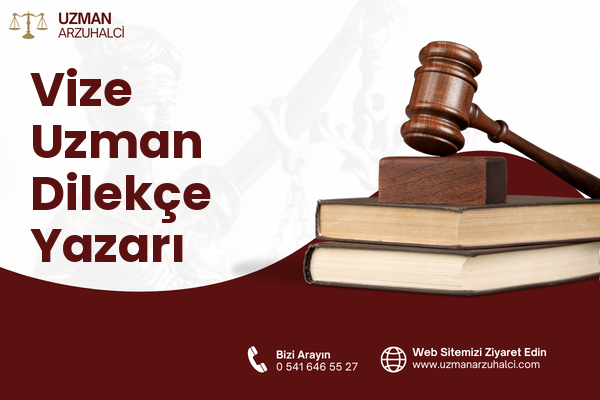 Vize Uzman Dilekçe Yazarı