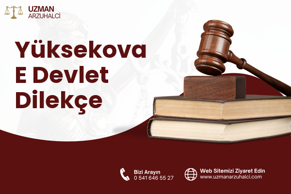 Yüksekova E Devlet Dilekçe