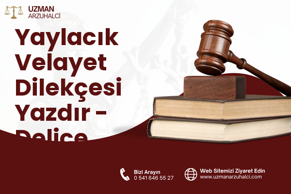 Yaylacık Velayet Dilekçesi Yazdır - Delice