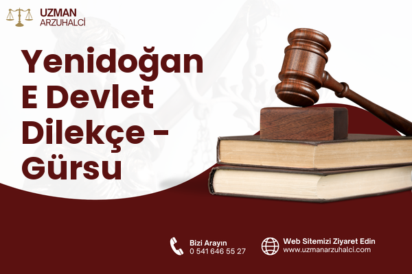 Yenidoğan E Devlet Dilekçe - Gürsu