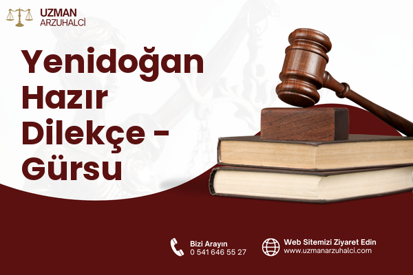 Yenidoğan Hazır Dilekçe - Gürsu
