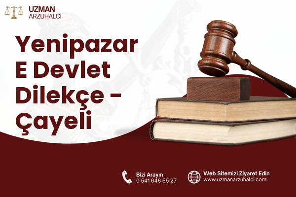Yenipazar E Devlet Dilekçe - Çayeli