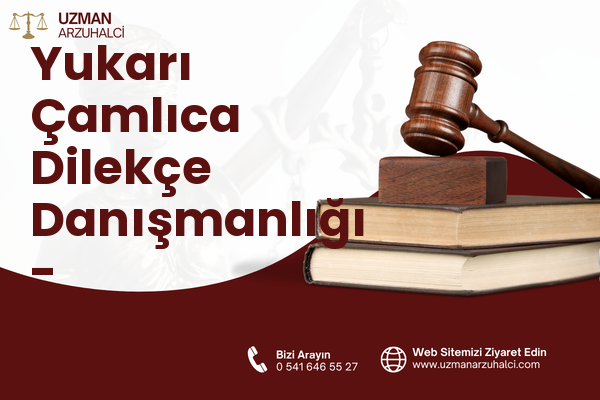 Yukarı Çamlıca Dilekçe Danışmanlığı - Çamlıhemşin