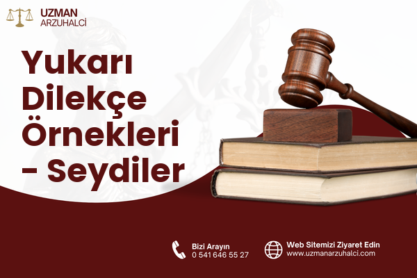 Yukarı Dilekçe Örnekleri - Seydiler