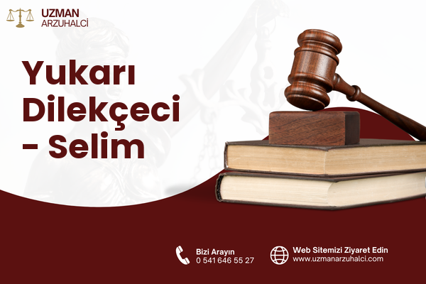 Yukarı Dilekçeci - Selim